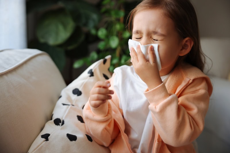 Young female child blowing her nose.